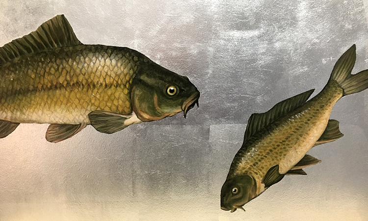 Handgemalte, realistische Fische auf der Wand